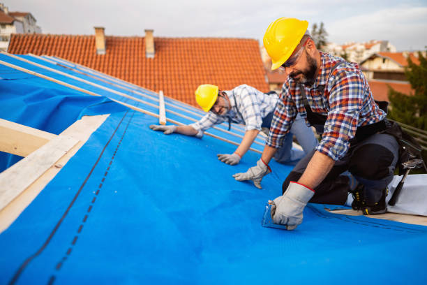 Best Roof Repair Services  in Woodburn, IN